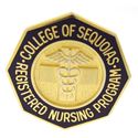 Picture of College of the Sequoias RN Pin